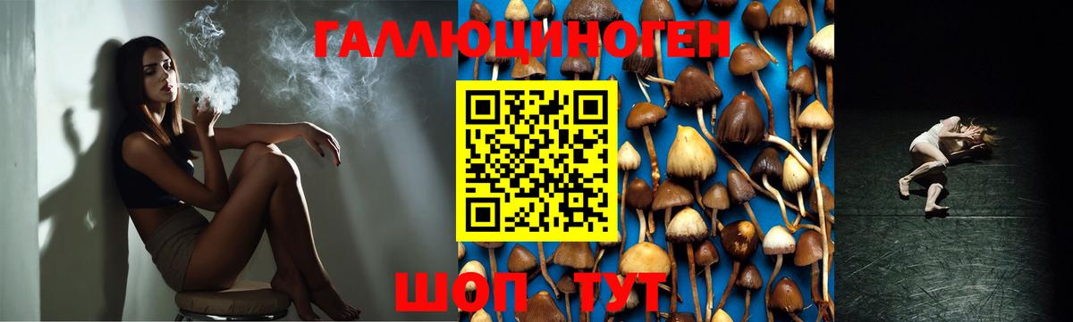 Галлюциногенные грибы мицелий Красный Сулин
